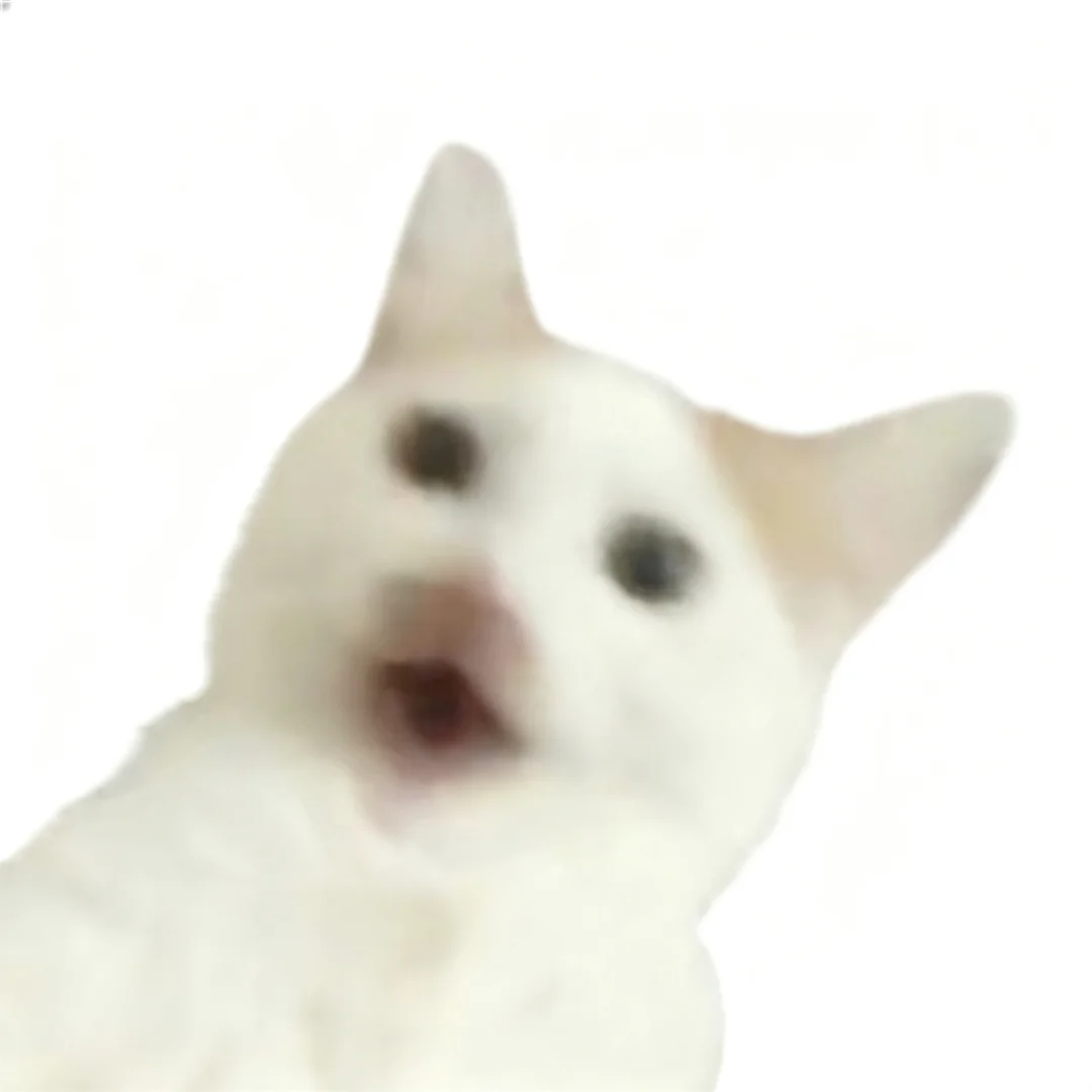 我会一直为我家猫做表情包的……