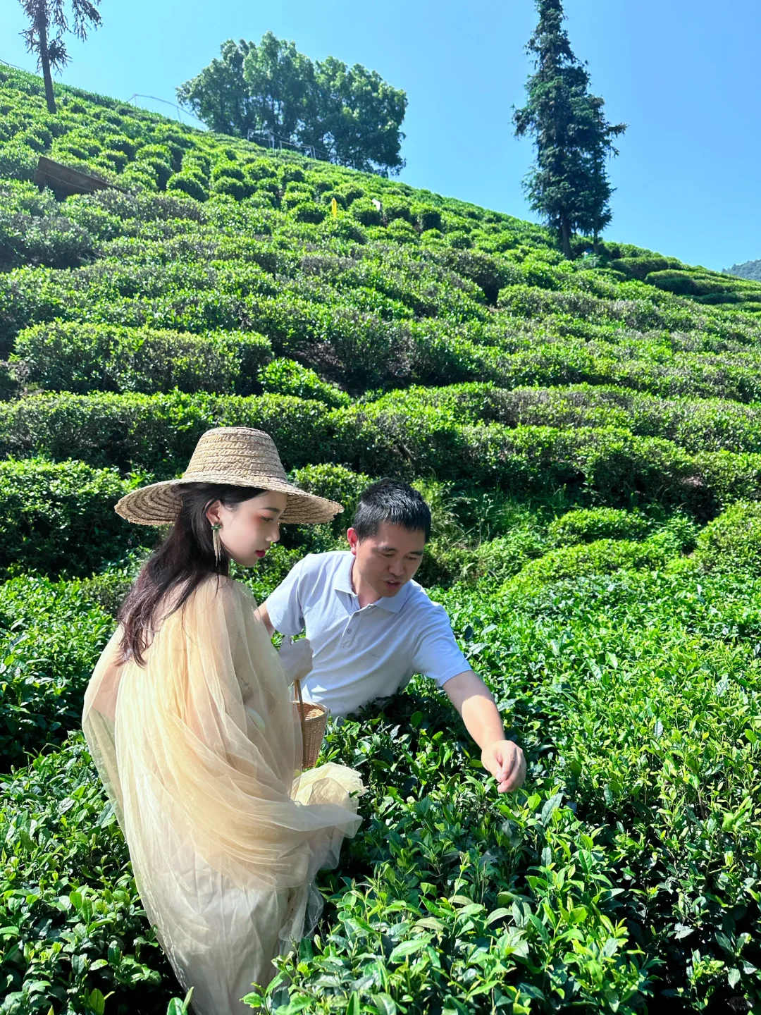 夏日白雪公主养成记🤍