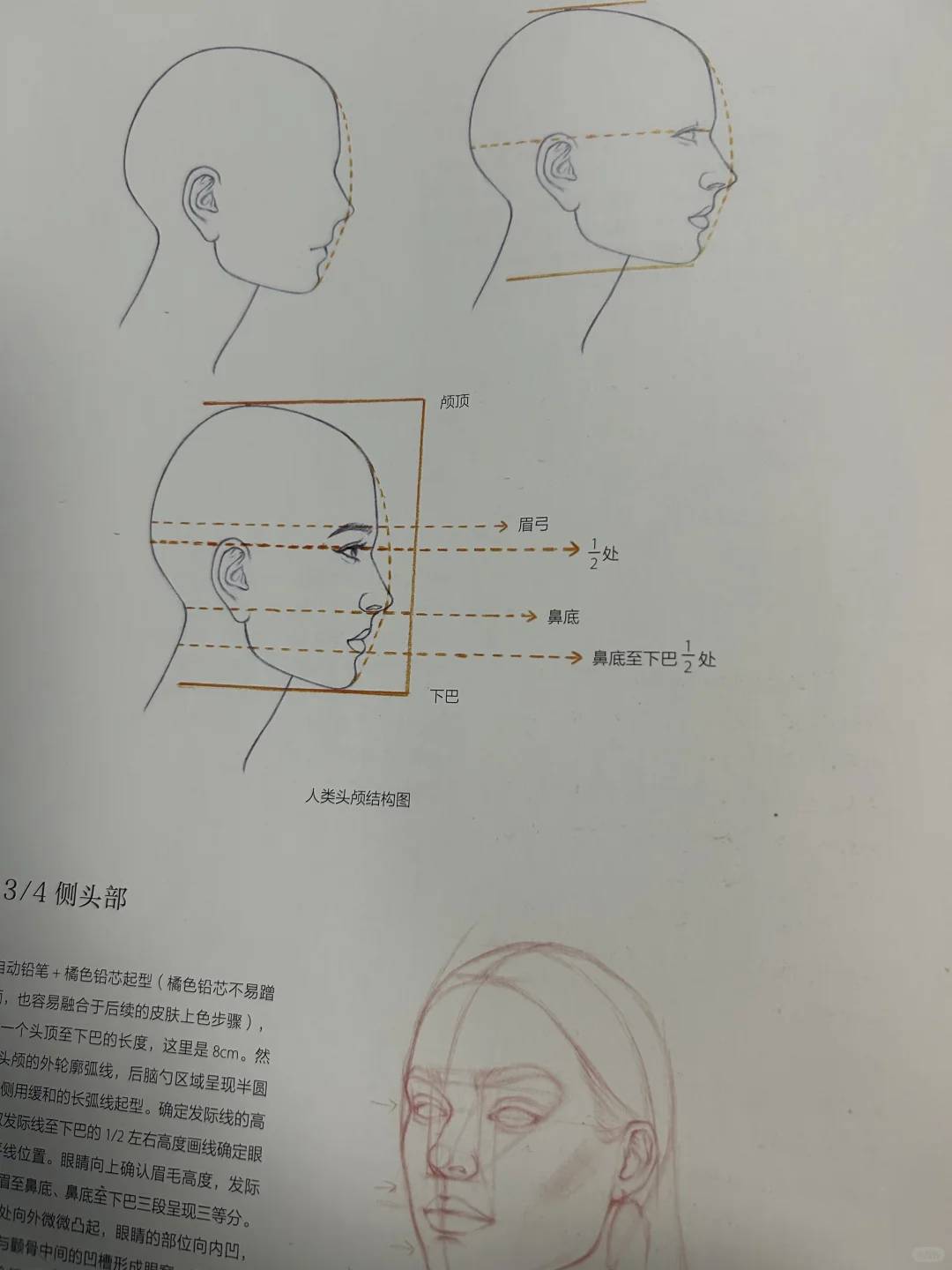 服装设计效果图人体表现学习笔记📝