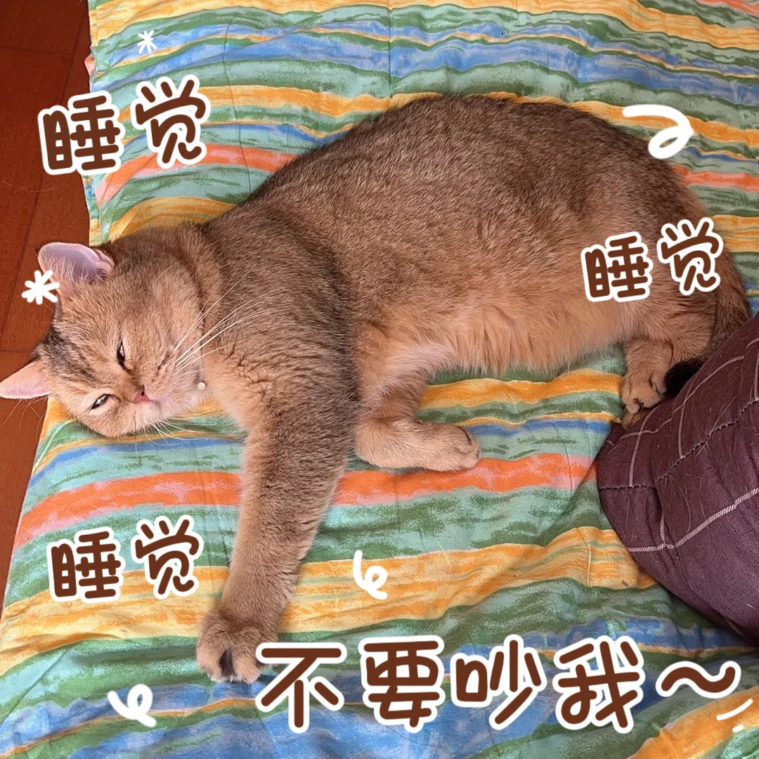 周日宅家的养生中女流水账