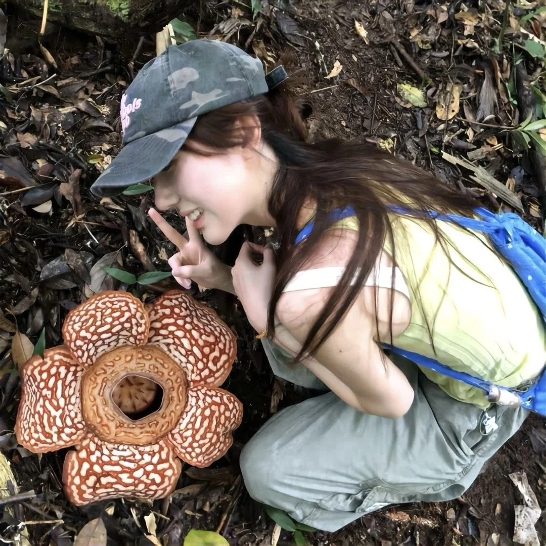 活力少女的头像大赏📸