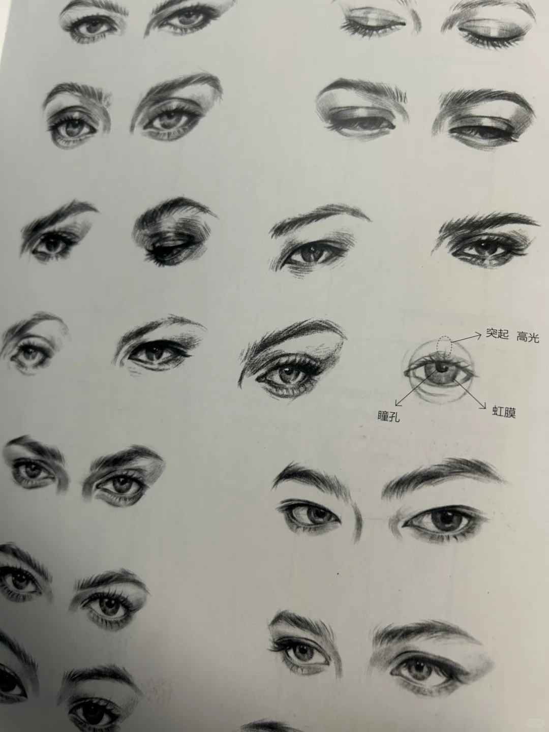 服装设计效果图人体表现学习笔记📝