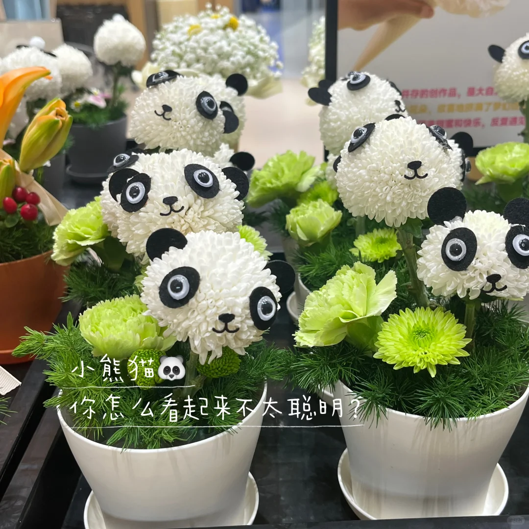 🌙上师大研一｜平平淡淡的日常也很幸福😊