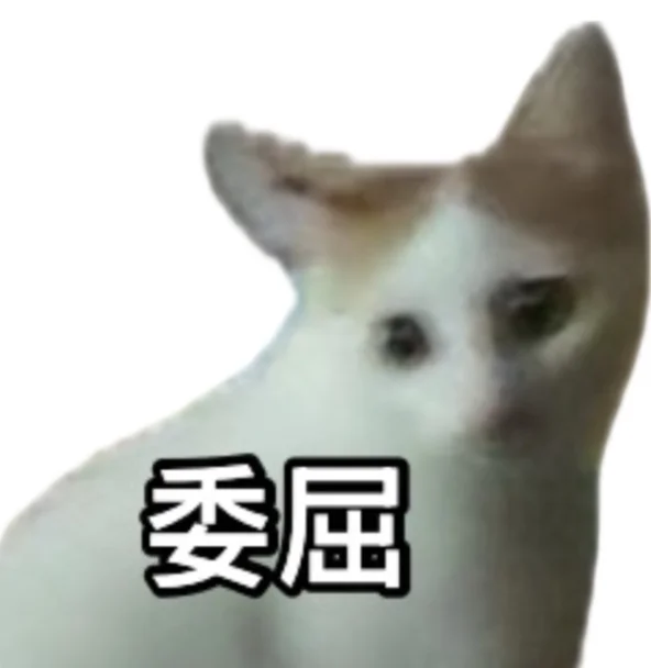 我会一直为我家猫做表情包的……