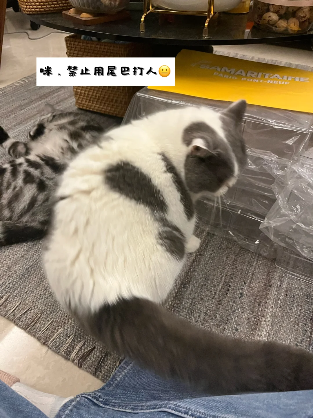 欢迎收看魔都女高活力满满的一个月🫣