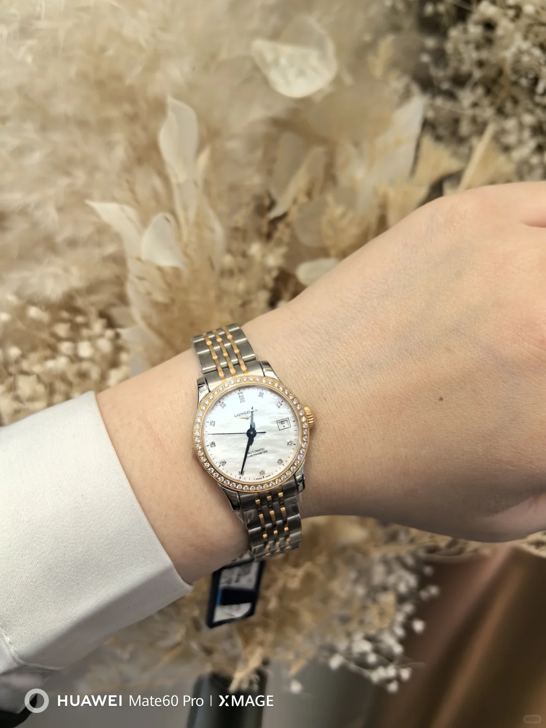 浪琴 开创者女表原相机下的闪耀光芒🌟