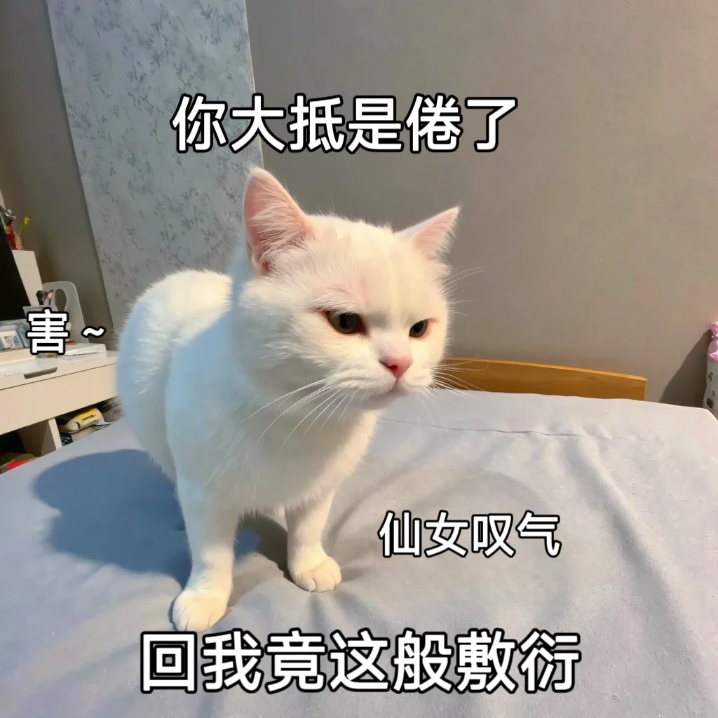 聊天专用猫咪可爱搞笑情侣表情包