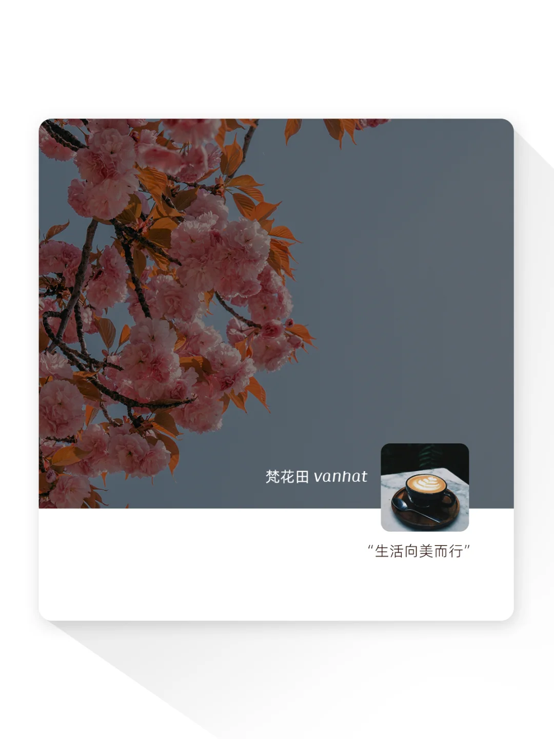 Vanhat壁纸｜樱&娇艳