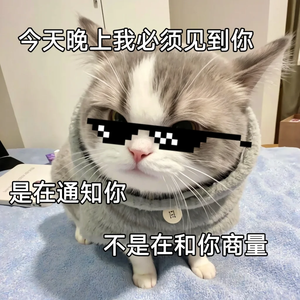 聊天专用猫咪可爱搞笑情侣表情包