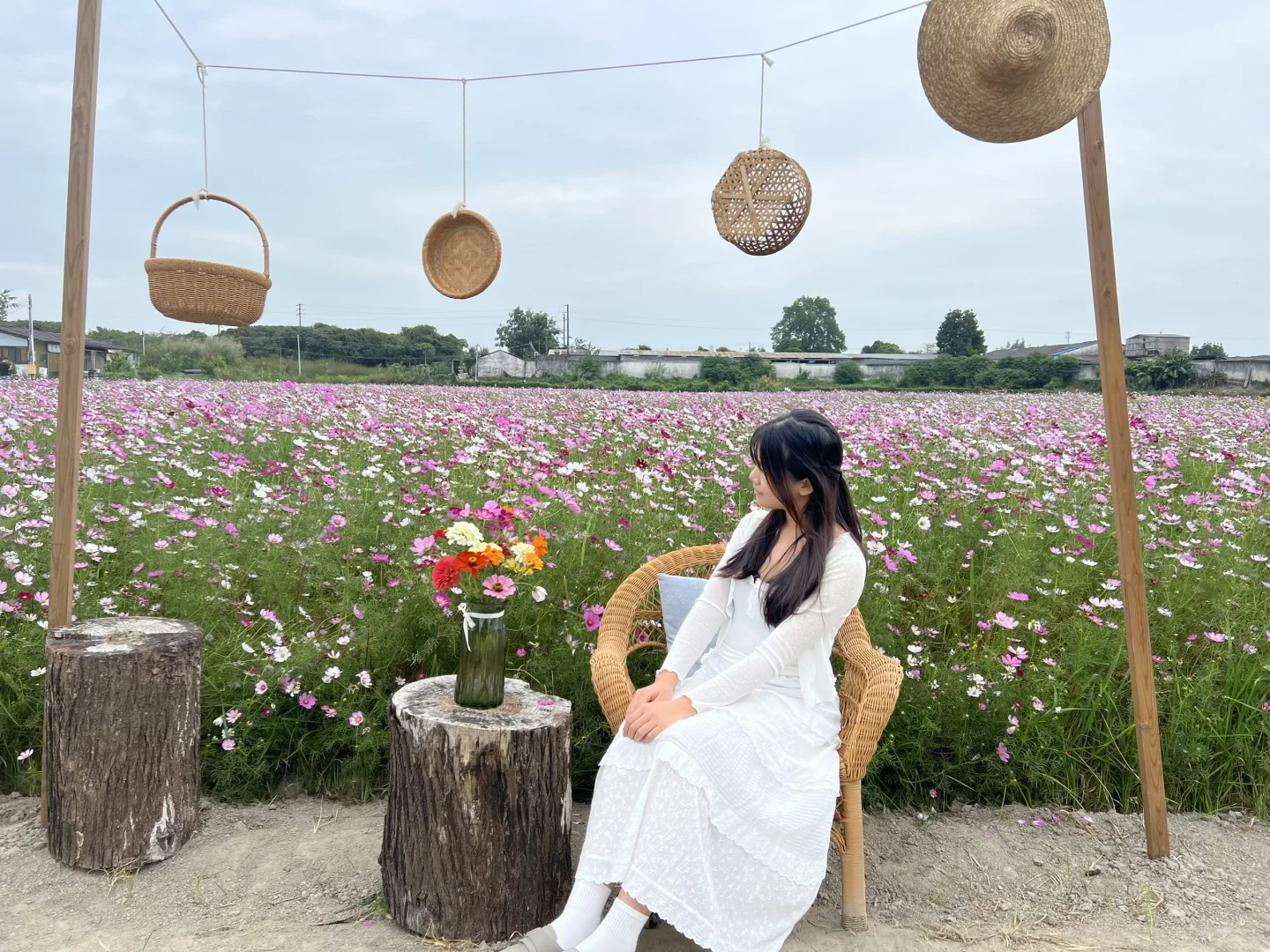 广州乡村！格桑花海秘境｜附拍照全攻略