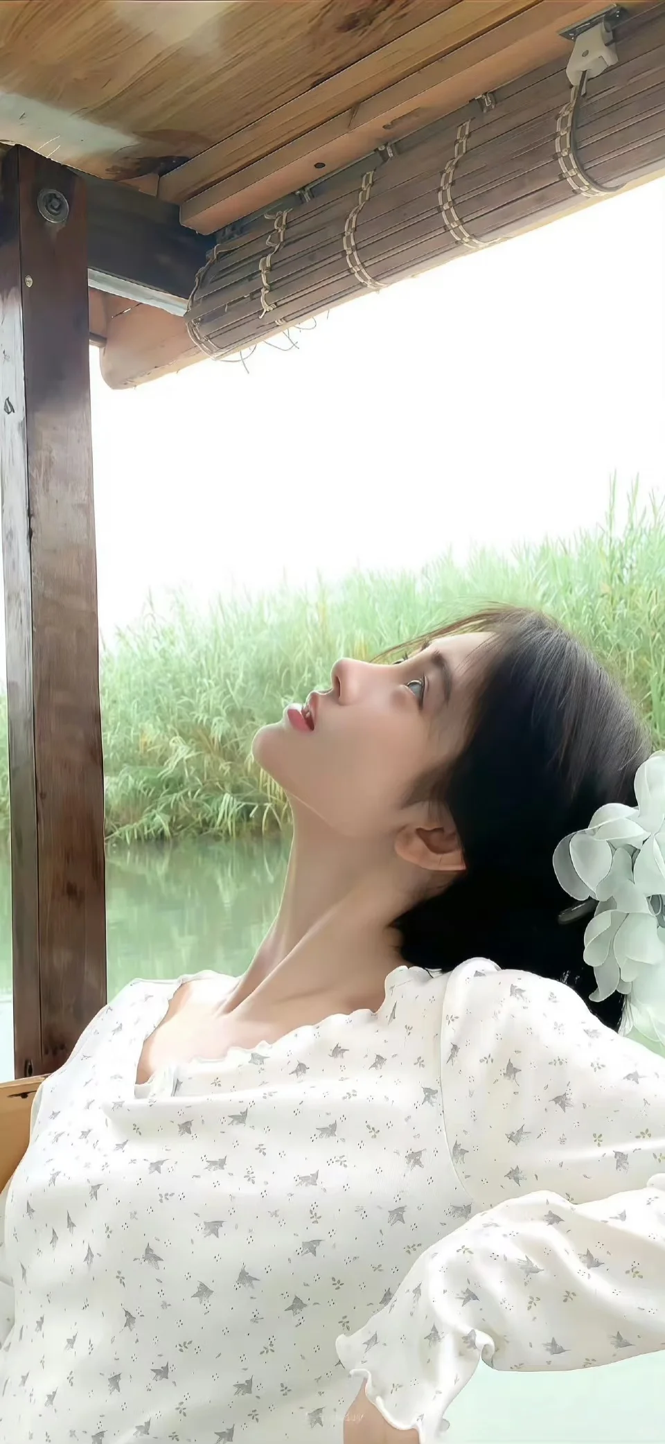 鞠婧祎超美壁纸