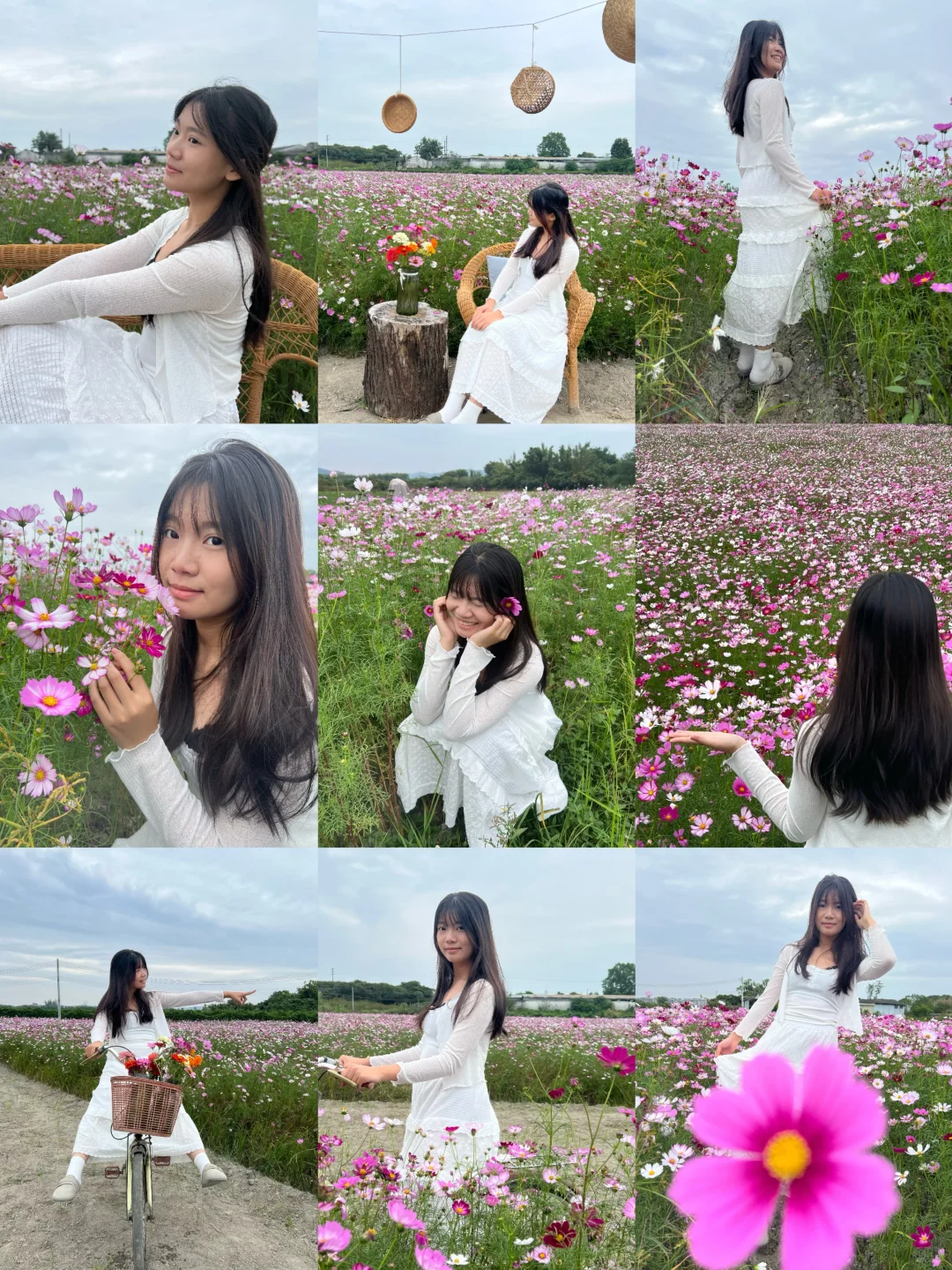 广州乡村！格桑花海秘境｜附拍照全攻略