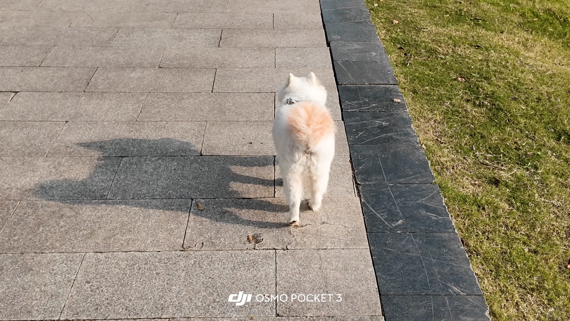 大疆激发了我的打扮欲