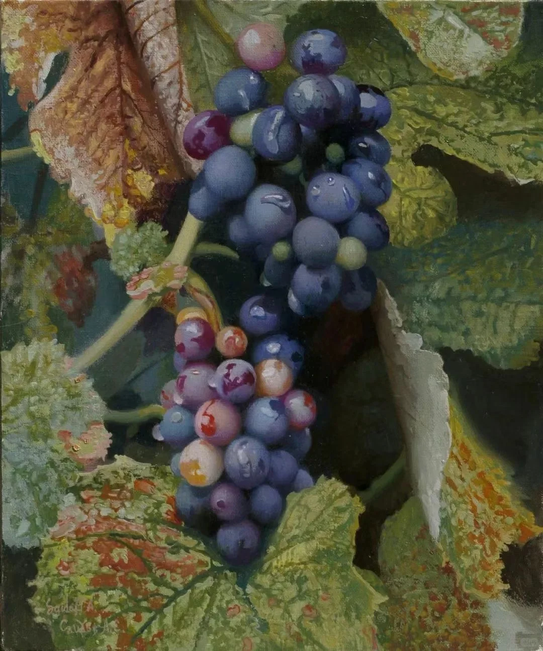 这位大师画得葡萄绝了，简直不能更娇艳！