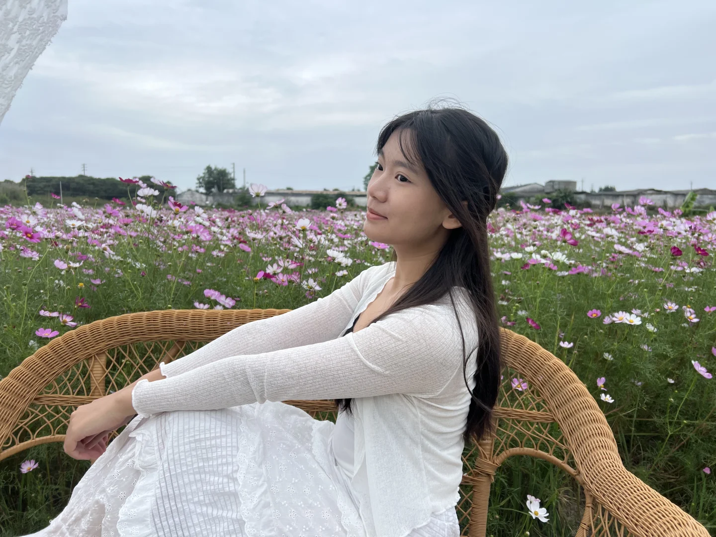 广州乡村！格桑花海秘境｜附拍照全攻略