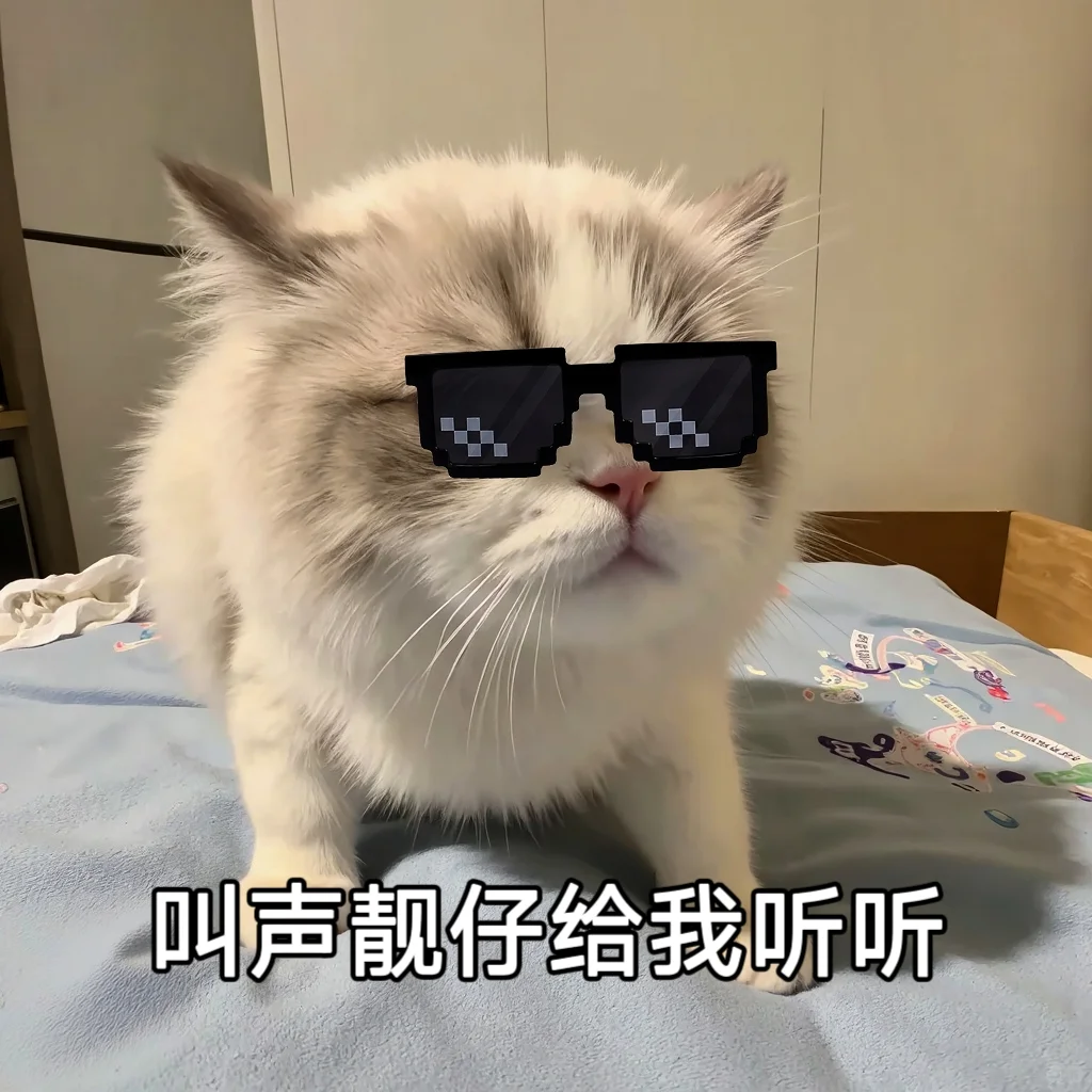 聊天专用猫咪可爱搞笑情侣表情包