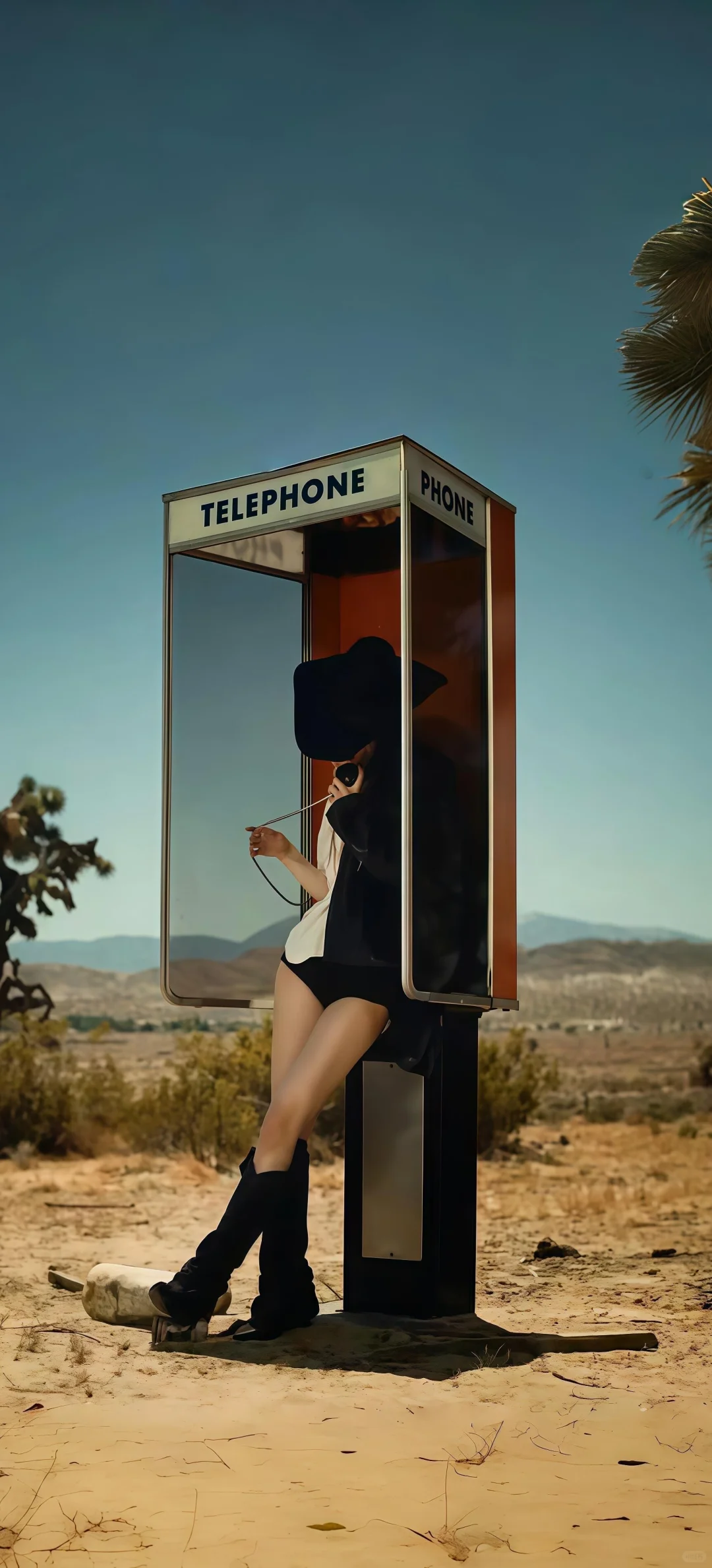 好久没发rosé壁纸