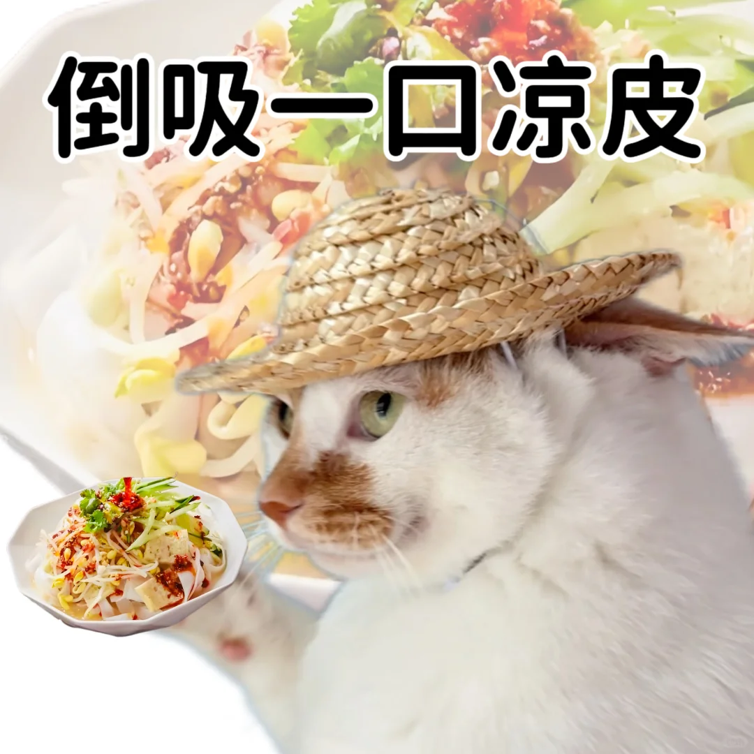 小猫演绎食物谐音梗