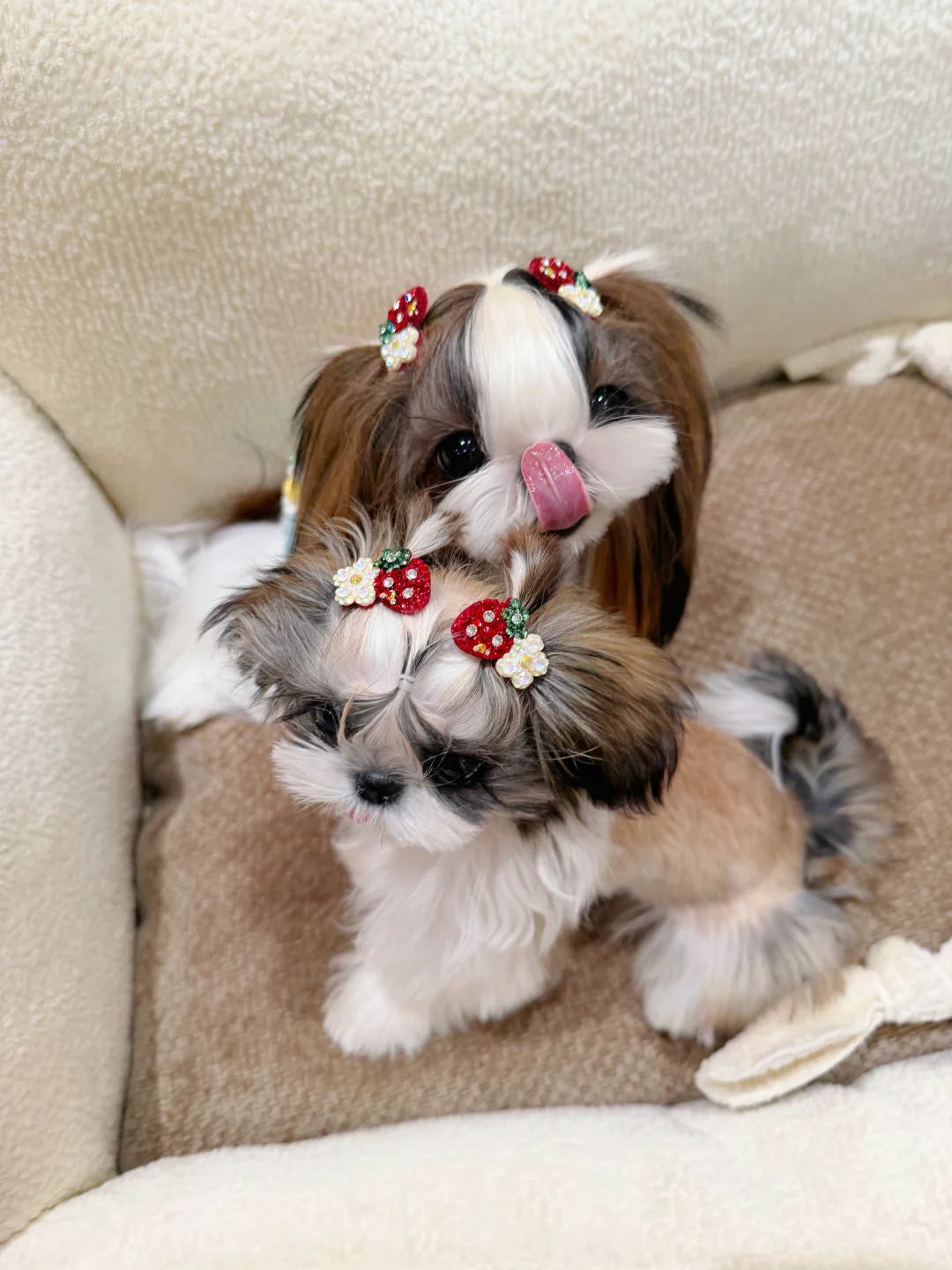 谁曾想谁曾想？姐妹一起拍照了！