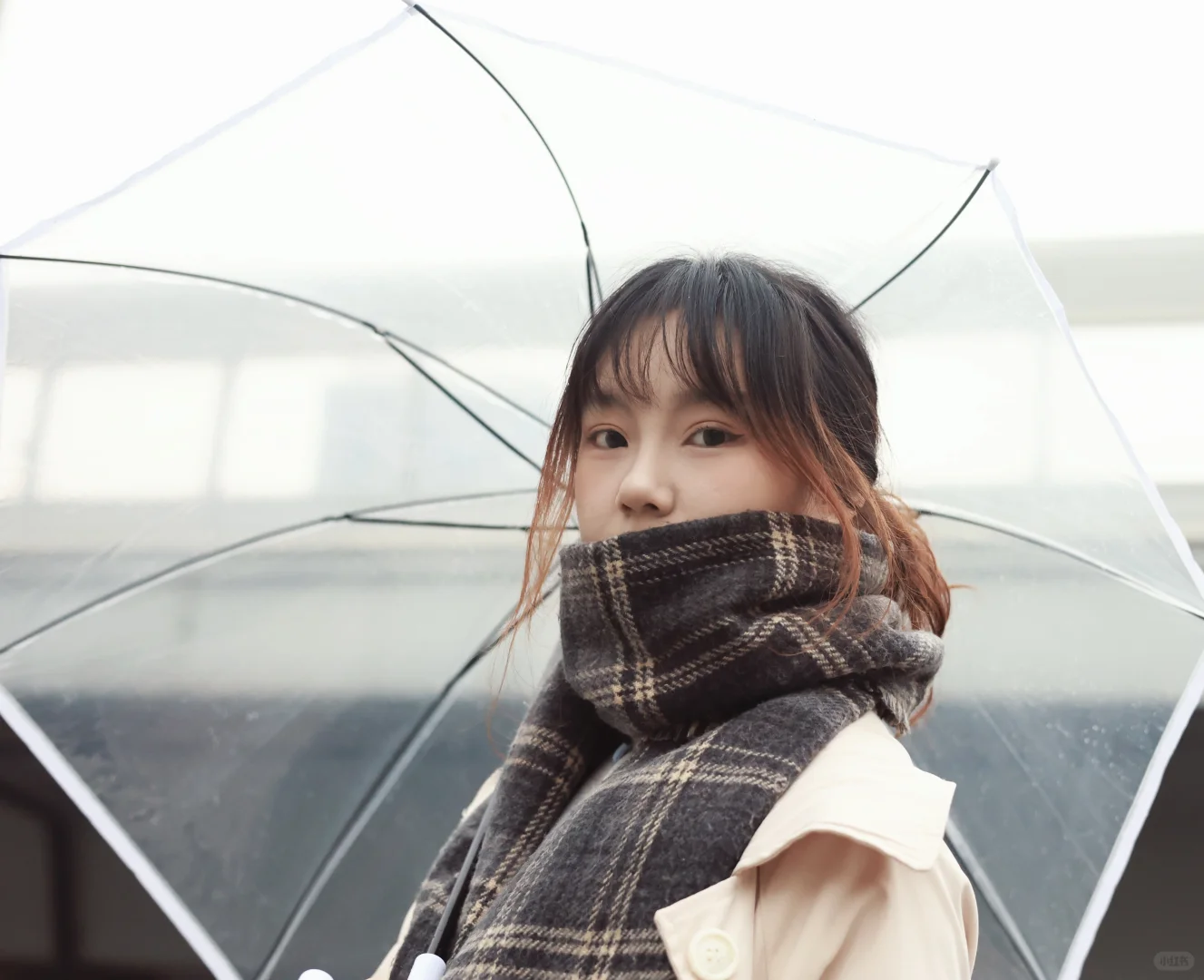 今日天气阴☁️