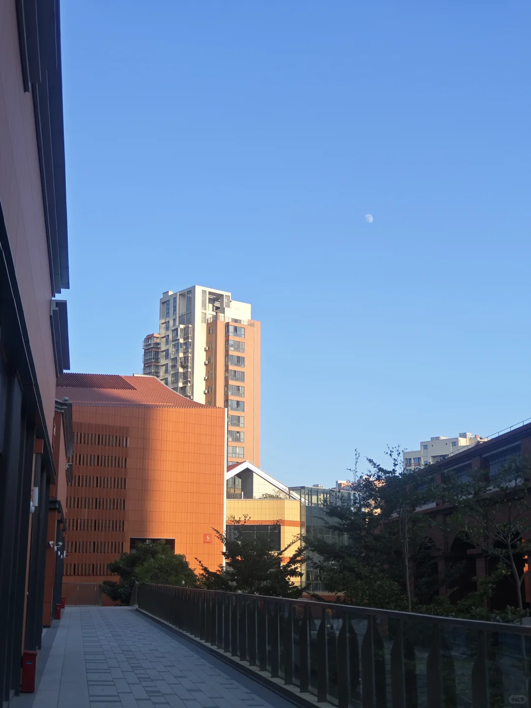 我和胸中缝的第一次会面🥺