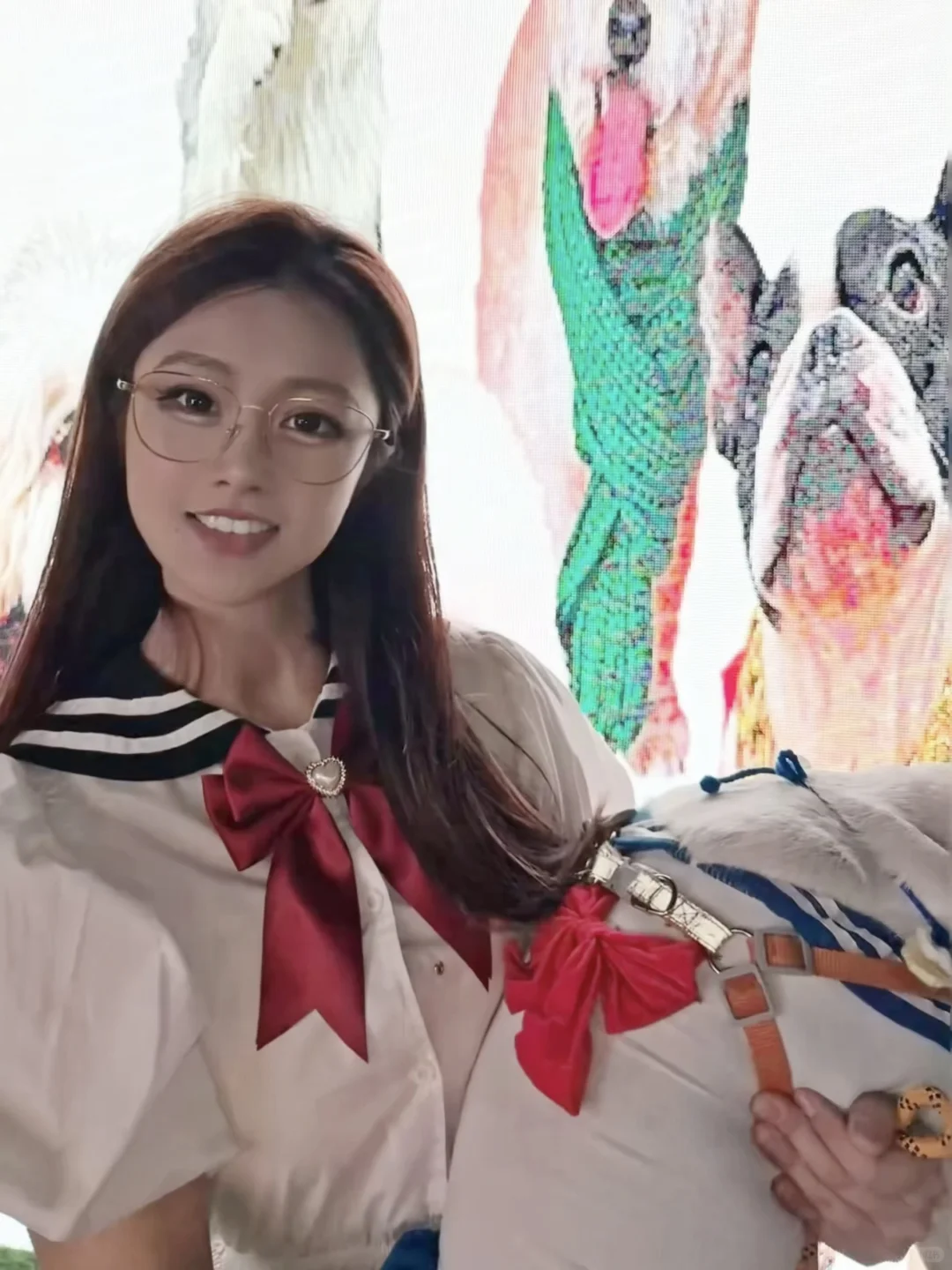 万能小红书求杭州11.1法斗美少女壮士照片