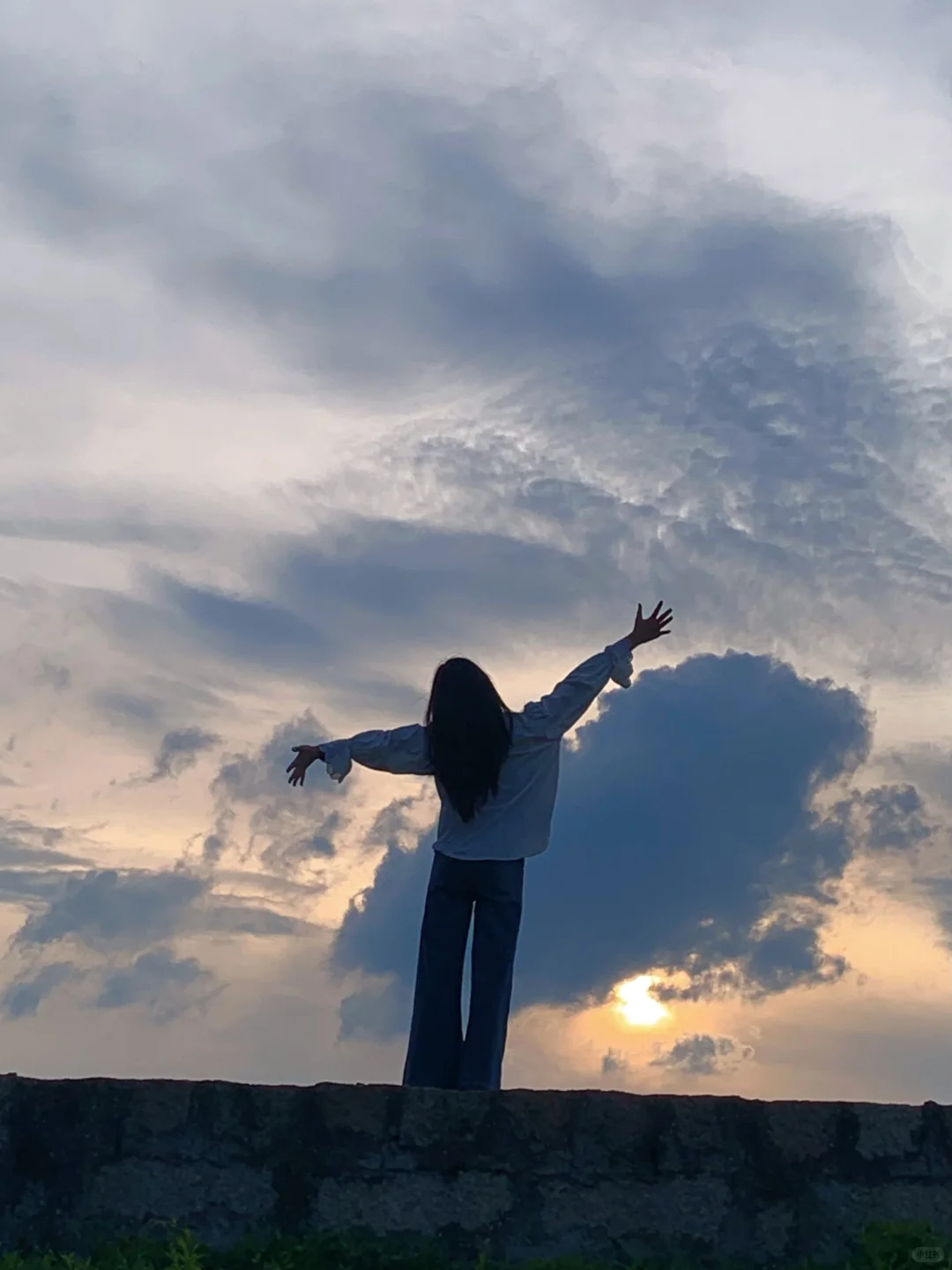 🌊比好看更让人着迷的是生命力