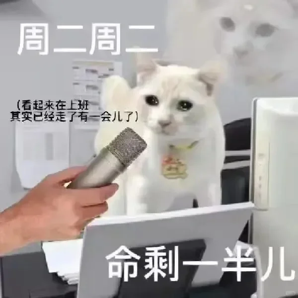 为什么才周二.........