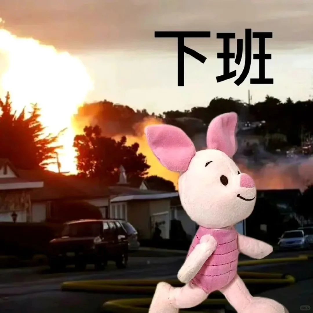 实用又抽象的表情包来啦