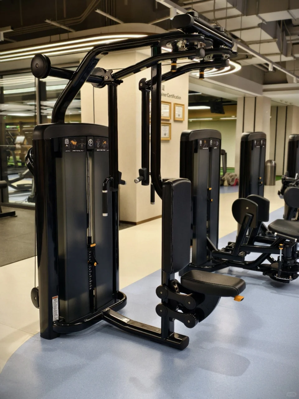 每日打卡，重塑自我！