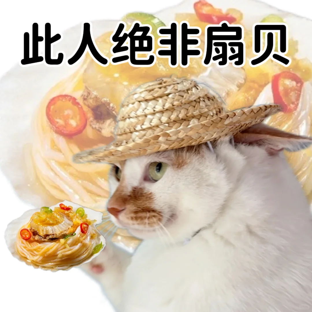 小猫演绎食物谐音梗