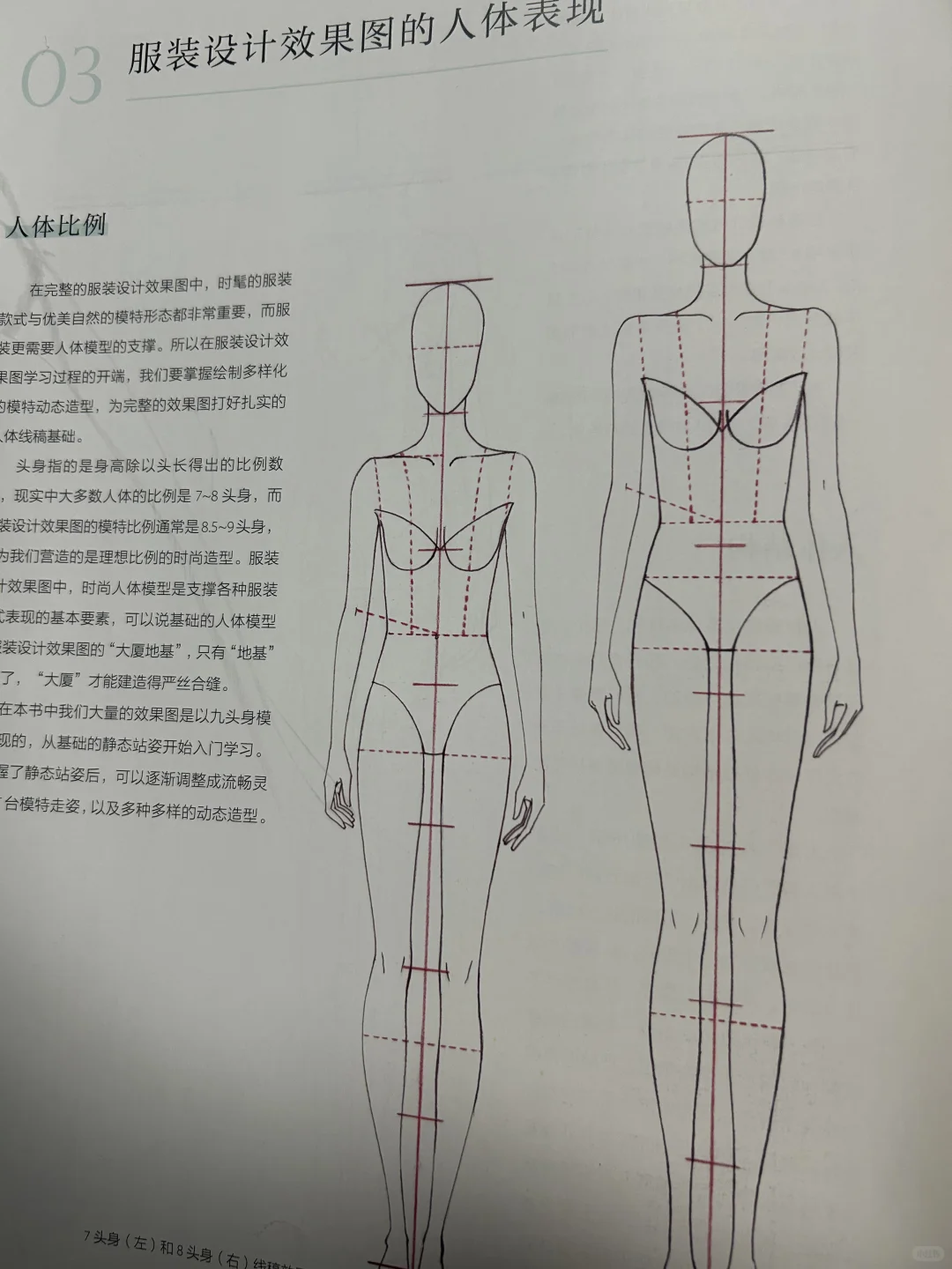 服装设计效果图人体表现学习笔记📝