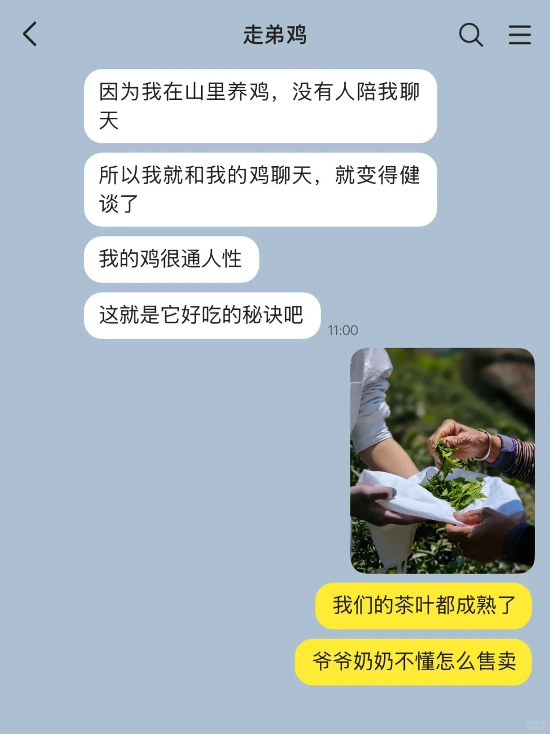 茶叶女X走弟鸡（1）