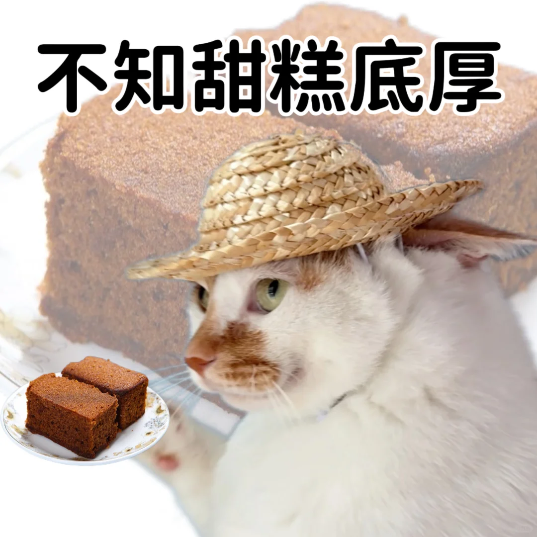 小猫演绎食物谐音梗