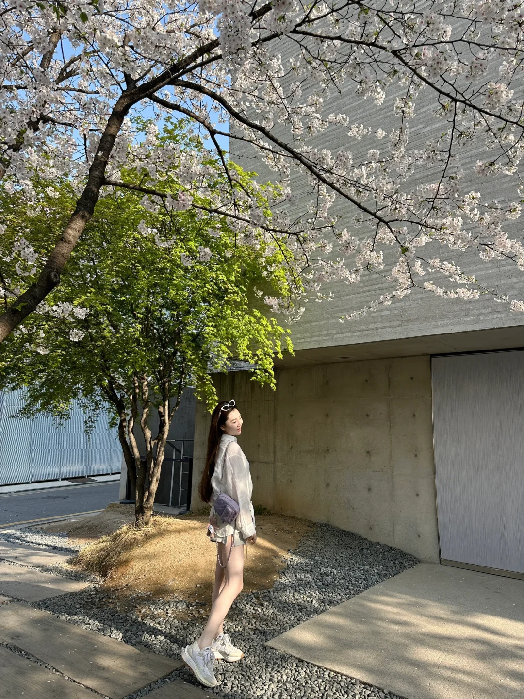 四月的首尔🌸☕️