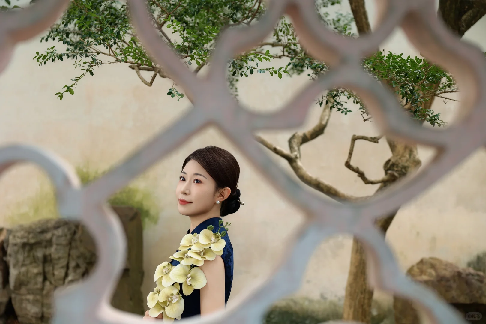 来苏州总要穿一次旗袍