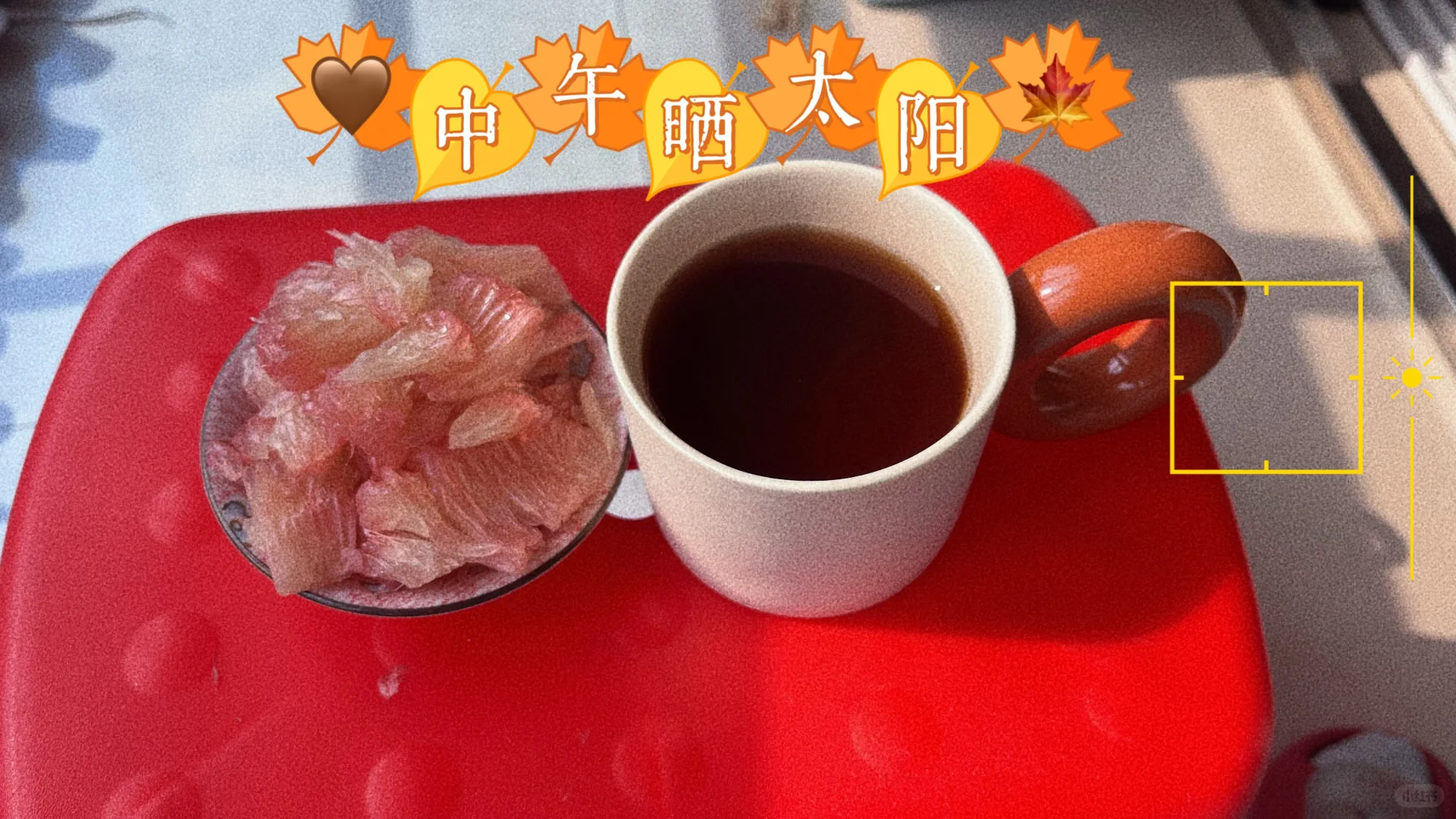 周日宅家的养生中女流水账