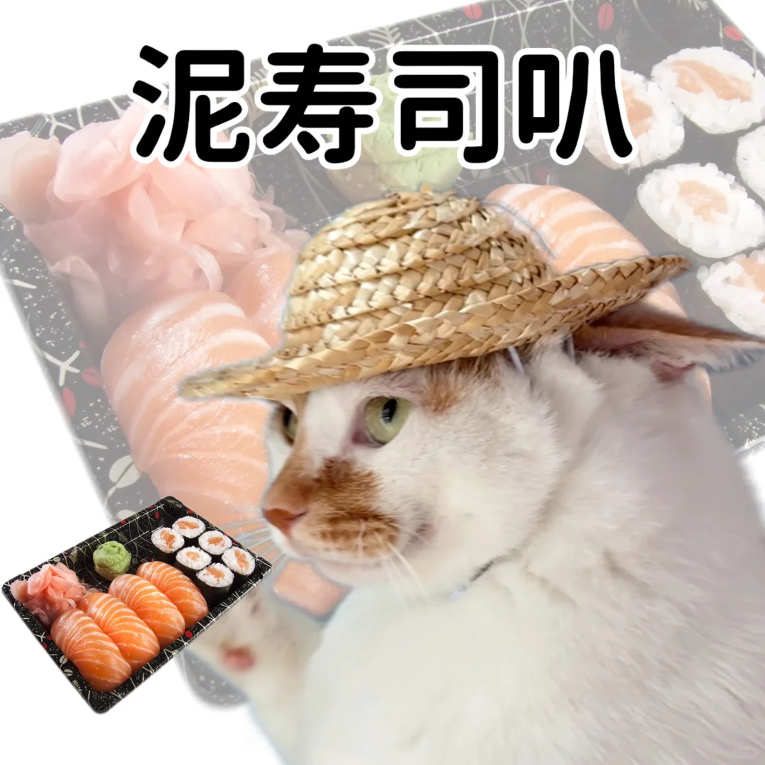 小猫演绎食物谐音梗