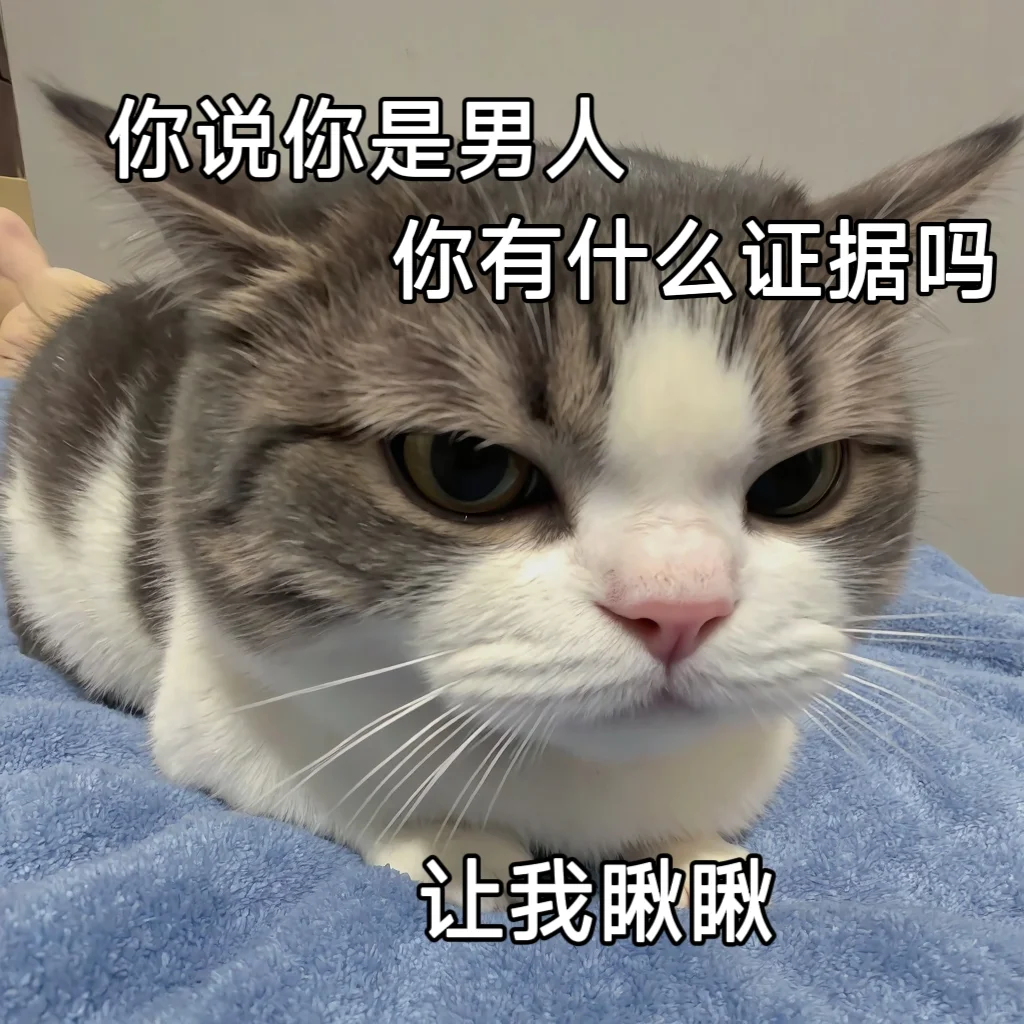 聊天专用猫咪可爱搞笑情侣表情包