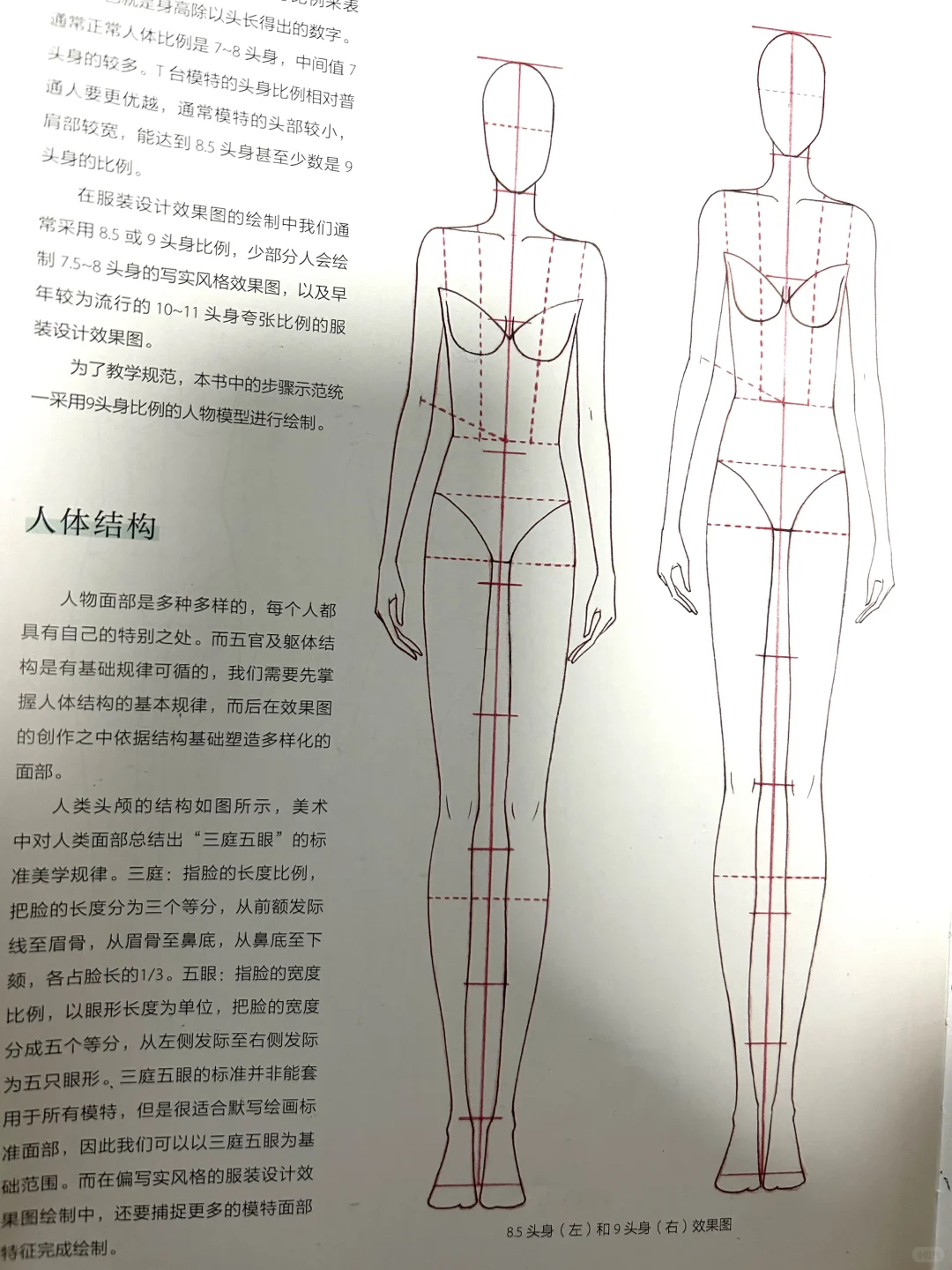 服装设计效果图人体表现学习笔记📝
