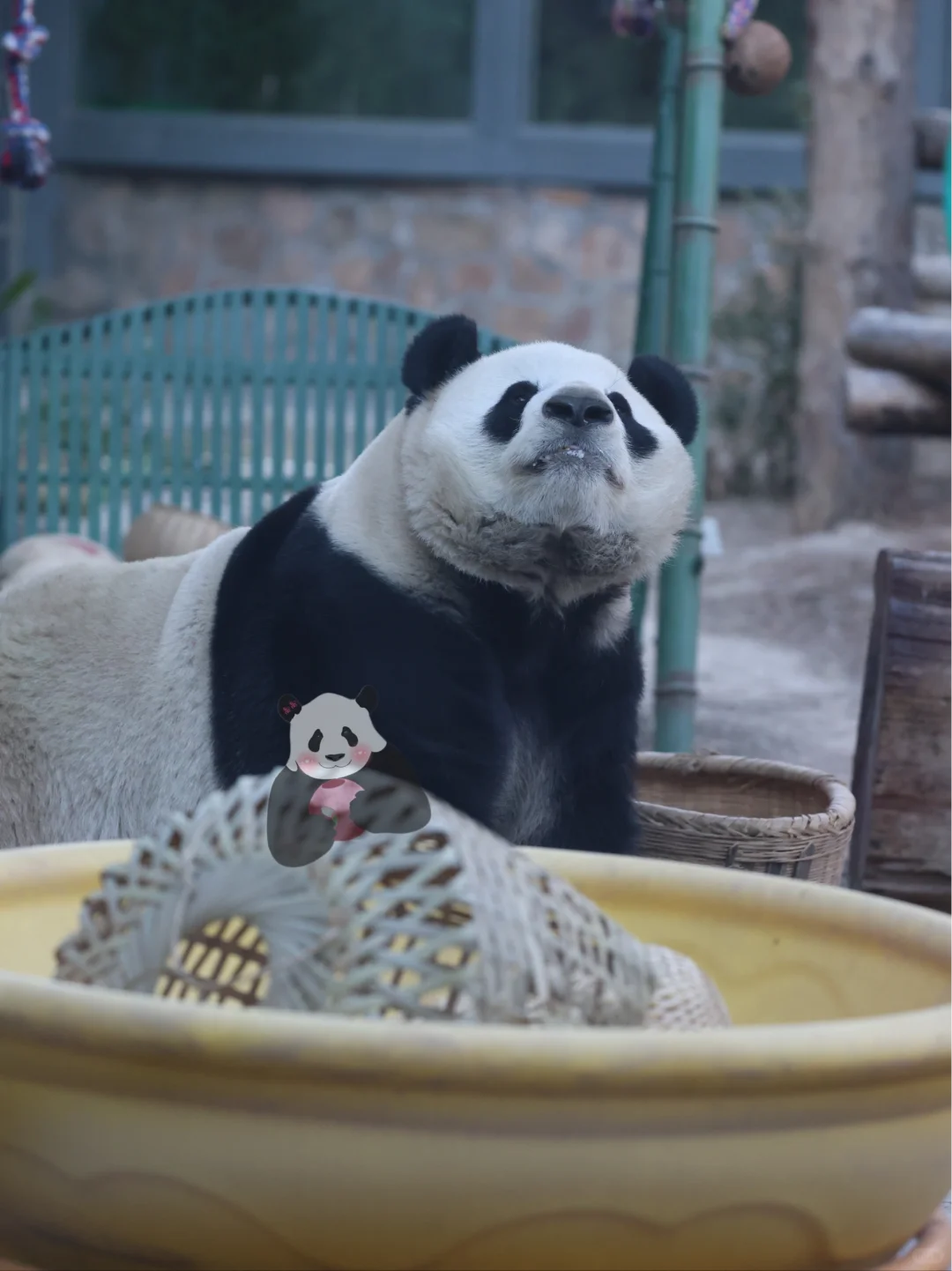 性感嫩模，在线翘臀