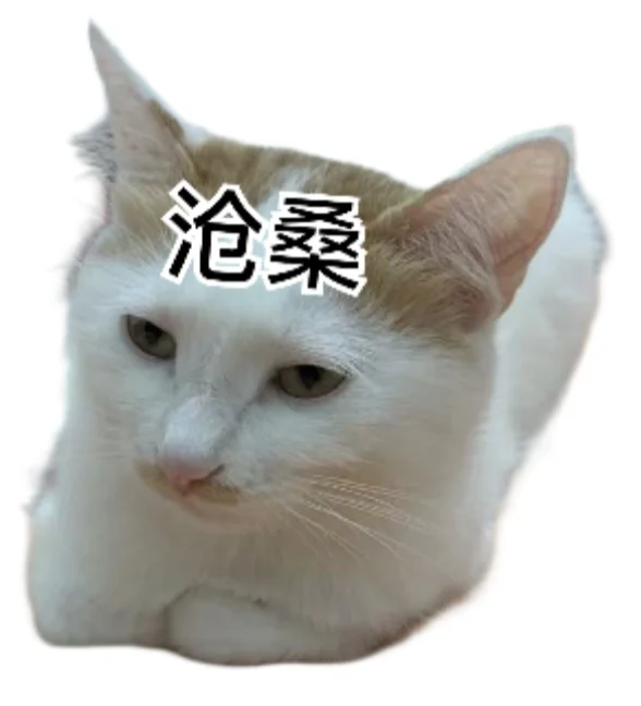 我会一直为我家猫做表情包的……
