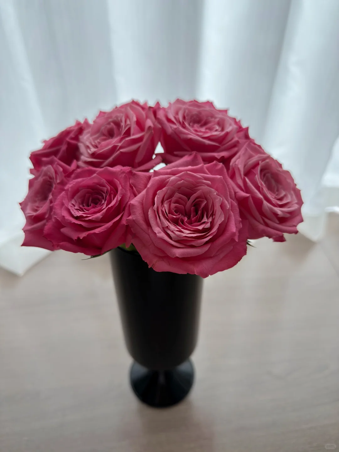 是谁出落得这么娇艳明媚啊！