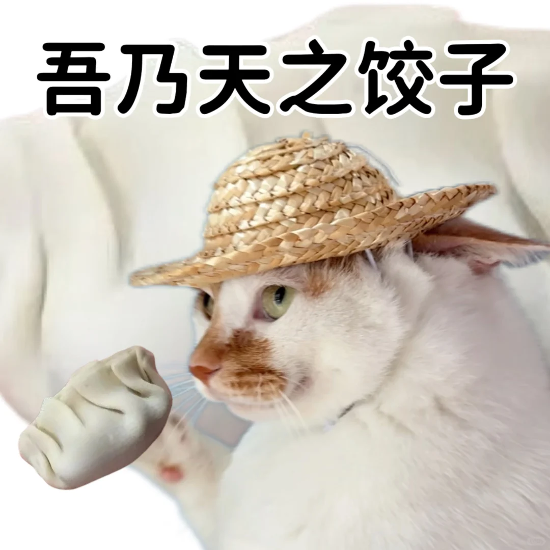 小猫演绎食物谐音梗