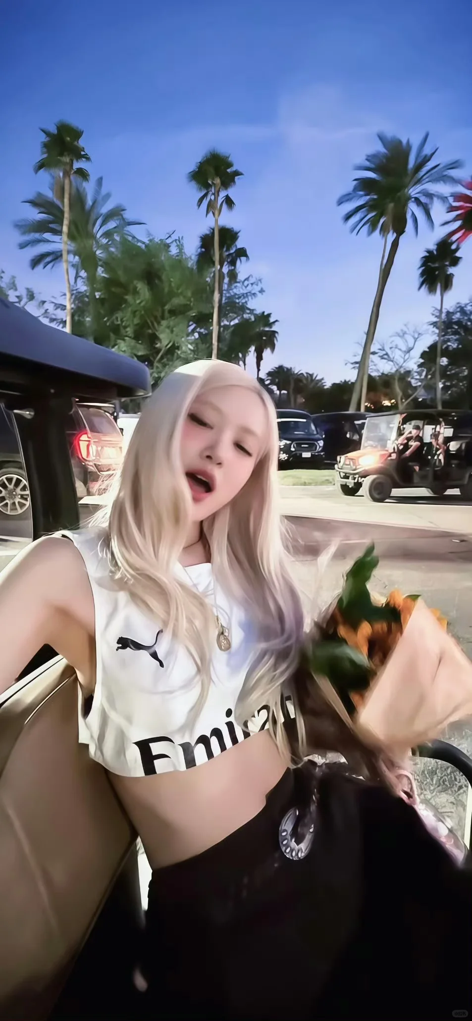 好久没发rosé壁纸