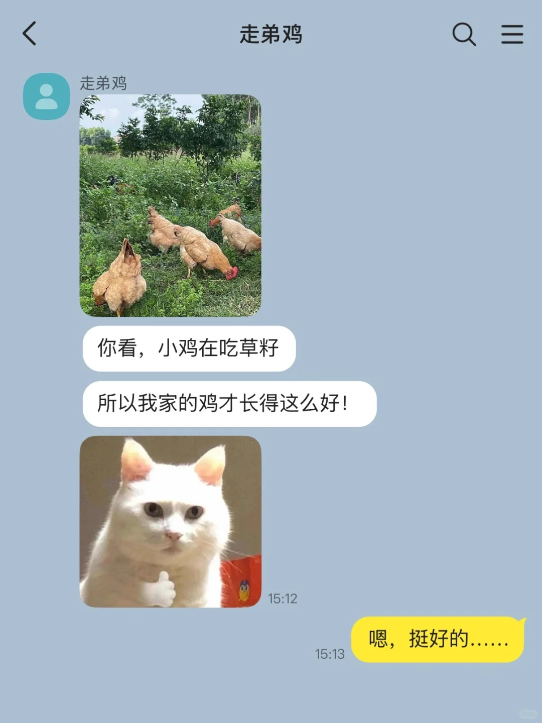 茶叶女X走弟鸡（1）