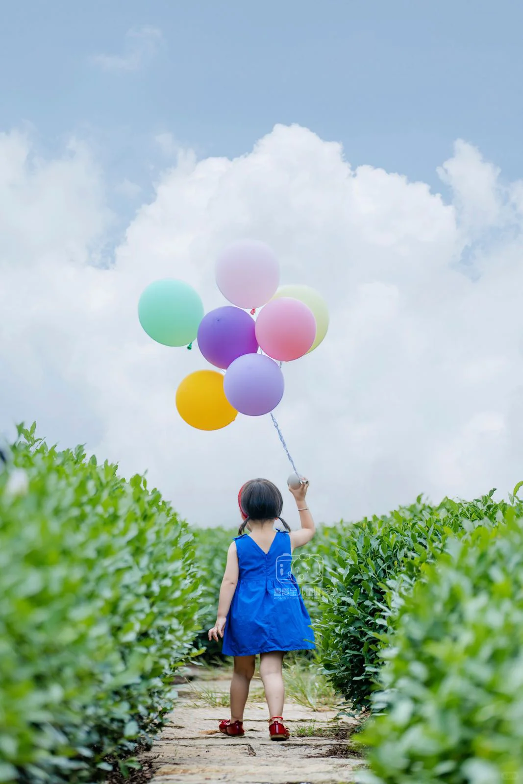 杭州户外约拍|走！带女鹅去大自然撒欢吧！