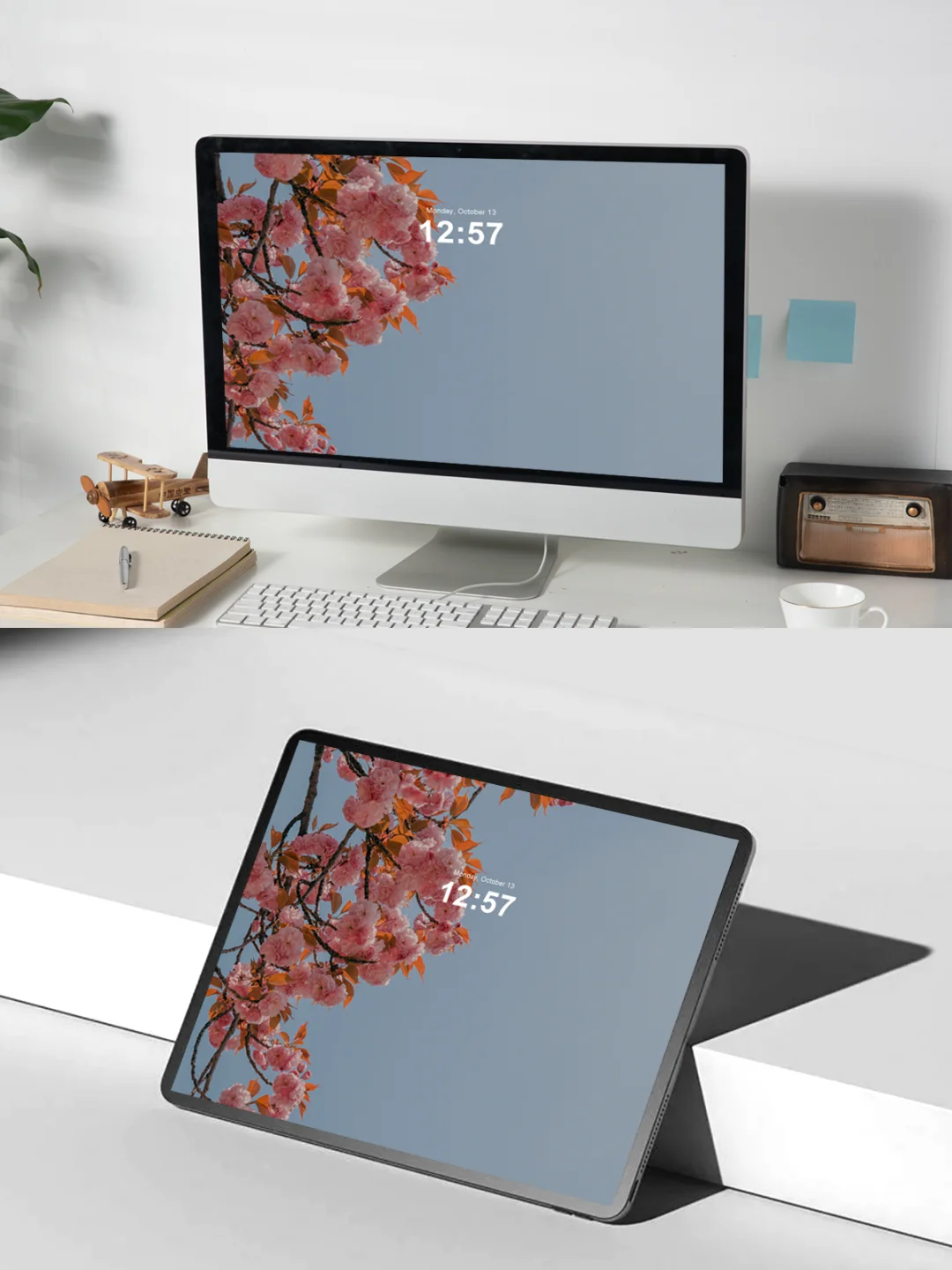 Vanhat壁纸｜樱&娇艳