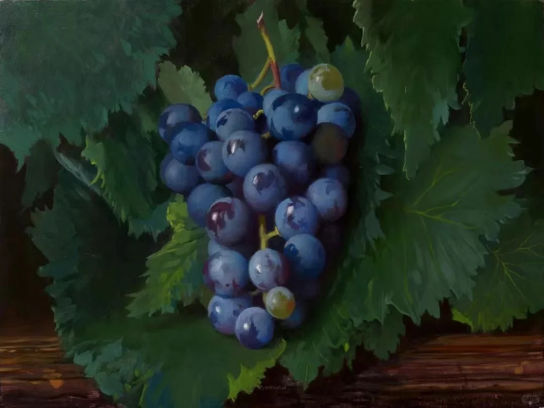 这位大师画得葡萄绝了，简直不能更娇艳！
