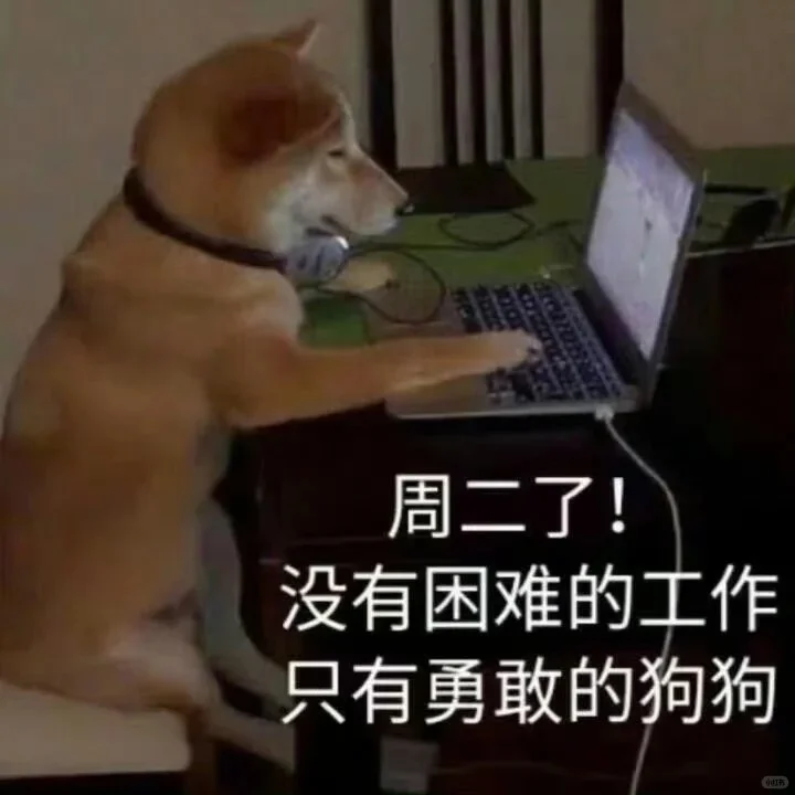 为什么才周二.........